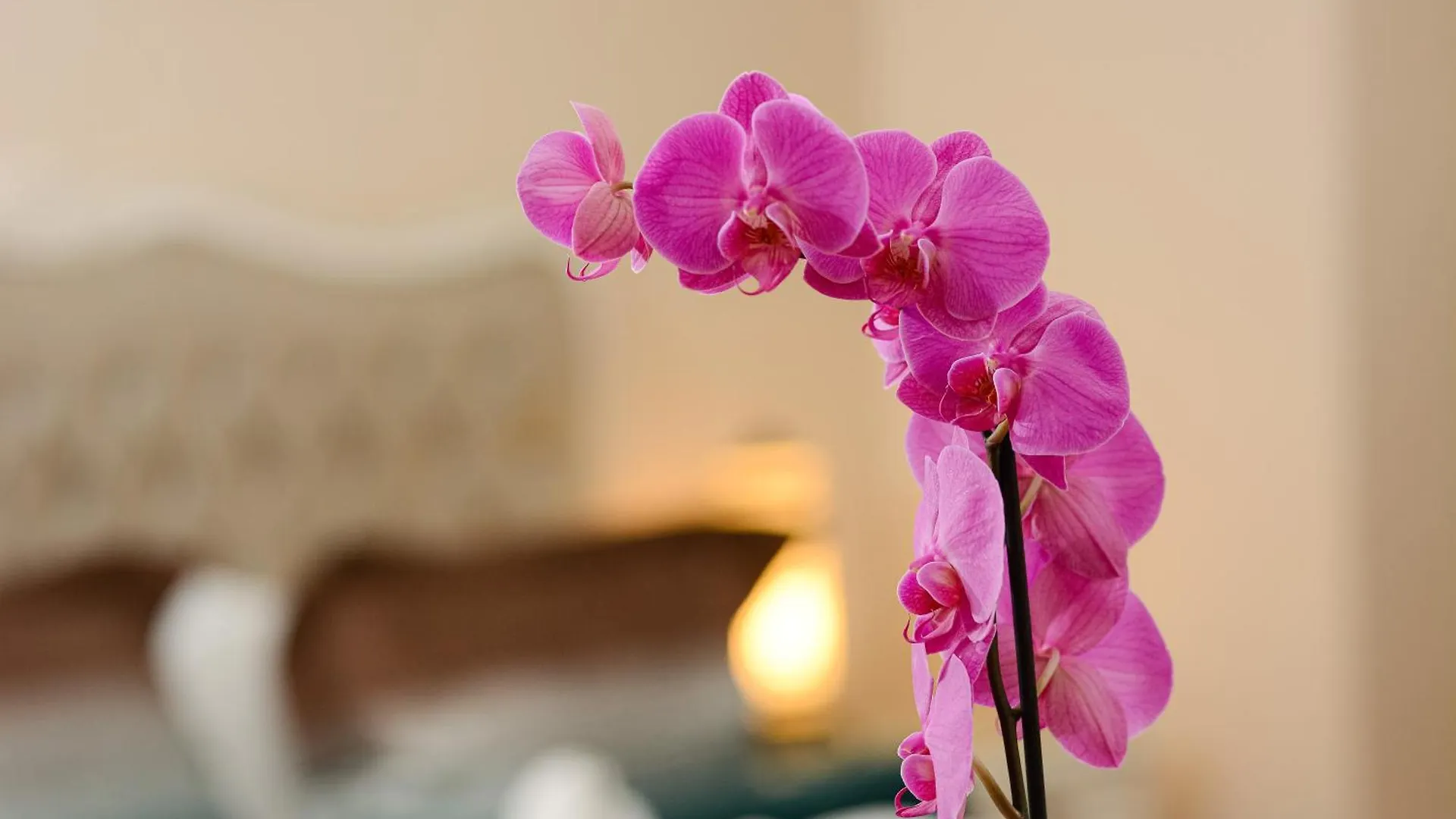 Recital Hotel Istanbul